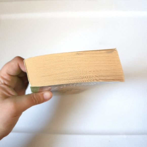 Camber the Heretic Paperback Book - Picture 6 of 8